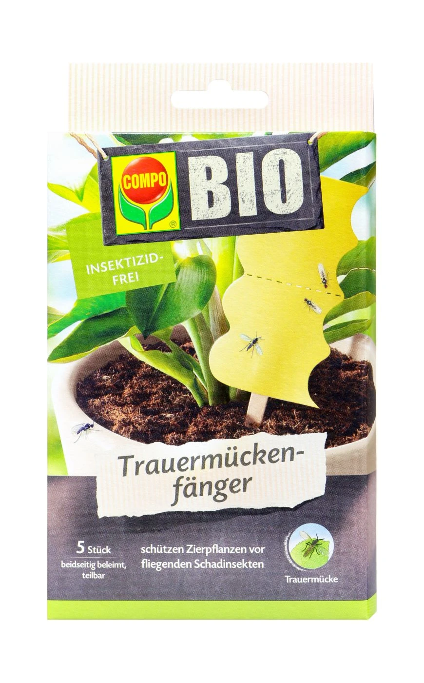 COMPO BIO Trauermückenfänger - 5 Stück 1 COMPO BIO Trauermückenfänger - 5 Stück
