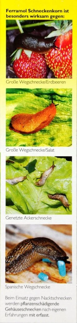 Neudorff Ferramol Schneckenkorn - 500 G 7 Neudorff Ferramol Schneckenkorn - 500 G -Gartenbedarf Laden Neudorff20Ferramol20Schneckenkorn 32718 R01