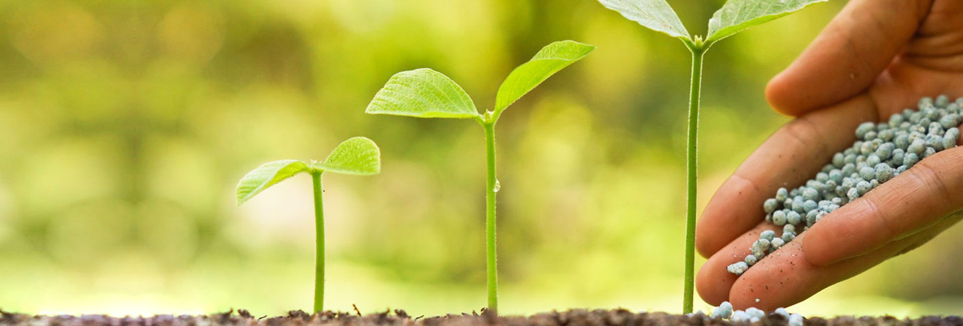 Gartenbedarf Laden -Gartenbedarf Laden duenger ratgber baumarkt 1920x650 1