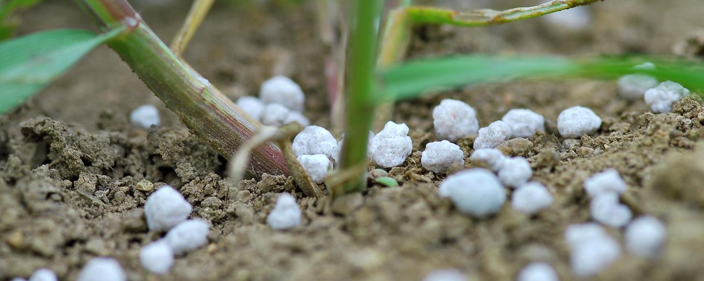 Gartenbedarf Laden -Gartenbedarf Laden weizen mineralduenger 36 id30155